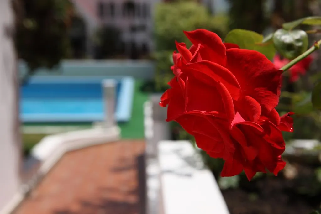 Canico Bay Apartments Apart-hotel Caniço